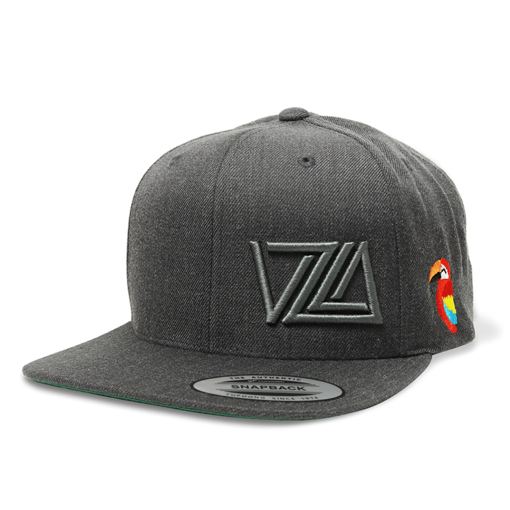 VZLA Flat Bill Snapback Hat (Guacamaya)