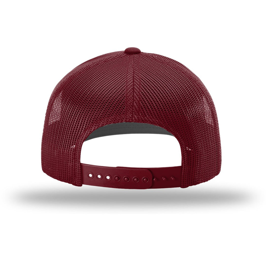 VEN - Venezuela Trucker Strike